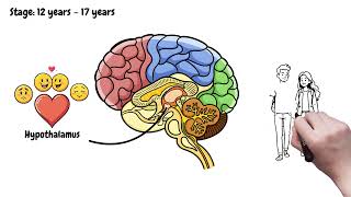 Brain Development 0-25