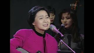 손현희(Son Heaynhee) - 이름없는 새 [꿈의 콘서트] | KBS 19940111 방송