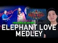 Elephant Love Medley (Christian Part Only - Karaoke) - Moulin Rouge! The Musical