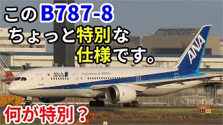 【飛行機のイロハ78】ANAの787で少しレアな機体を紹介します。