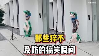 那些猝不及防的搞笑瞬间，无意拍到网红青蛙直播，没想到是个妹纸