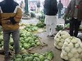 mansa sabji mandi rates 23 1 25 vegetables viral viral video video