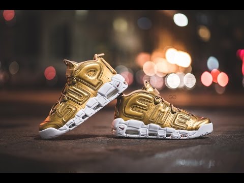 supreme x nike sb gato qs