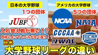 【3分で図解】アメリカと日本の大学野球リーグの2つの違いを世界一わかりやすく解説