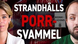 Annika Strandhäll har helt fel om porren