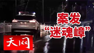 《天网》蜂巢被盗！湖北五峰乡警方迅速出击抓捕偷蜂贼 20241115