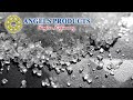 COMPANY PROFILE PT ANGELS PRODUCTS