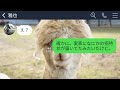 【line】新婦の私を舐めて結婚式当日に家族旅行に行くと親族全員でドタキャンした夫一族「キャンセル料払っとけw」→一切悪びれないクズ一家に真実を伝えた時の反応がwww