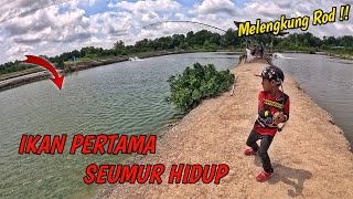 🔥 Budak 6 Tahun Lawan Siakap‼️ Pertama Kali Mancing \u0026  Casting | Kolam RM3 Jugra Banting