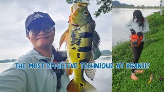 Popper Soft Plastic: SO EFFECTIVE at Kranji Reservoir Legal Ground A #peacockbassfishing #kranji