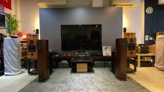 德國Audium comp5三吋全音域落地喇叭 +NAD  C368 BluOS擴大機