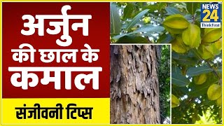 Sanjeevani Tips: Dr. Pratap Chauhan से जानिए मुंह के छालों से छुटकारा पाने के सबसे आसान टिप्स