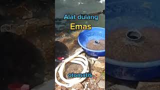 blue bowld alat dulang emas #viral #penambangemas