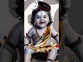 mahakal ki gulami kishan bhagat short video#shivbhajan# #viralshort #shortvideo #shiva#shivratri#yt