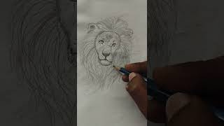 Lion face art #drawing #shorts.