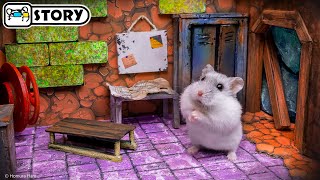 🐹 Hamster Escapes the Underground Maze - Sanctuary 🐹 Homura Ham Pets