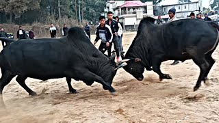 Iong Dung Bah Ia 🆚 Pring Dung Panah na Ksha mynta ka sngi ha Pommura ( Sup Tang Shi Reng)