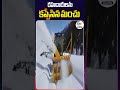 జమ్ముకశ్మీర్ రహదారులను కప్పేసిన మంచు snow covered jammu u0026 kashmir roads