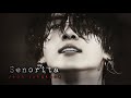 [FMV] Jeon jungkook - Senorita || Fmv video