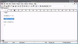 20 Assignment Operators PHP Tutorials