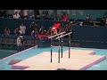 Golden routine Jingyuan ZOU ( 邹敬园 ) parallel bars Olympics 2024 Paris