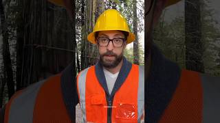 Tree Cutting Fail This Went So Wrong Treefelling Chainsawman Oldtree