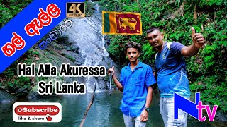 Hal Alla Akuressa Hulandawa Sri Lanka හල් ඇල්ල අකුරැස්ස හුලන්දාව