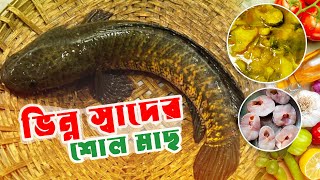 🔥ভিন্ন স্বাদের শোল মাছের অসাধারণ রেসিপি!  🐟🍲 #FishRecipe #youtubevideo