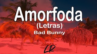Bad Bunny - Amorfoda (Letras / Lyrics)