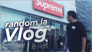 RANDOM LA VLOG