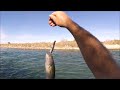 canal fishing 101 highline canal holtville ca