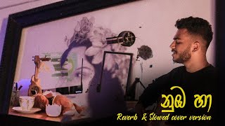 Numba Ha (නුඹ හා/සුරඟනක් විලස ඈ) | Avishka Oshadha | Reverb + Slowed Cover Version