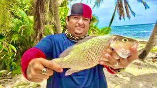 Fish Fillet Catch and Cook Belizean Style!!!!!!!