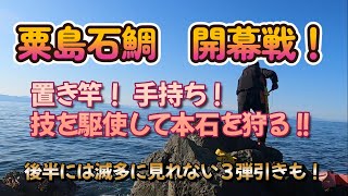 【石鯛釣り】粟島石鯛開幕！置き竿！手持ち！技を駆使して本石を狩る！