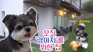 (room tour) 강아지에게 집을 빼앗겼습니다/랜선집들이