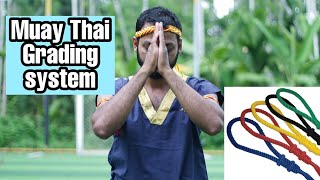 Muay thai grading system/ മുഅയ് തായ് അറിയേണ്ട പ്രധാനപ്പെട്ട കുറച്ചു കാര്യങ്ങൾ/armband ranking system