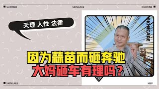 “你压我蒜苗，我砸你奔驰！”大妈怒砸奔驰车有理吗？