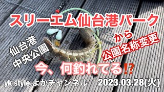 2023.03.28(火) スリーエム仙台港パーク 今、何釣れてる⁉️ サビキ釣り チョイ投げ