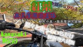 【Kawasaki W650】奥多摩周遊道路で紅葉眺めながらバイクで流す。都民の森→奥多摩湖方面編