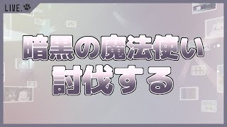 【メイプルストーリー】今年最後の暗黒の魔法使いです【男性Vtuber】