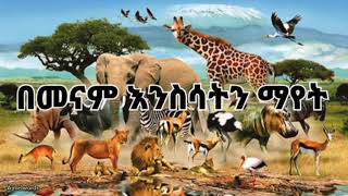 በህልሙ እንስሳትን ያየ ሰው || የተለየ ቀለም ወይም ድምጽ ያለው እንስሳ ያየ ሰው|| ትርጉም...