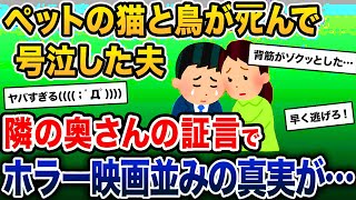 【鳥肌注意】ペットの猫と鳥がﾀﾋんで号泣した夫→隣の奥さんの証言で戦慄の真実が明らかになり…【2ch修羅場スレ・ゆっくり解説】