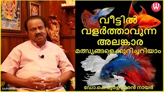 വീട്ടിൽ വളർത്താവുന്ന അലങ്കാര മത്സ്യങ്ങളെക്കുറിച്ചറിയാം  ഡോ.കെ.മുരളീധരൻ നായർ | പ്രപഞ്ചം Episode -35