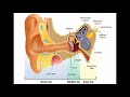 vertigo bppv හිසේ කරකැවිල්ල how it happens causes symptoms treatments how to prevent