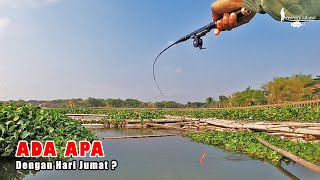 FISHING ON FRIDAY! Fishing Story Eps 15