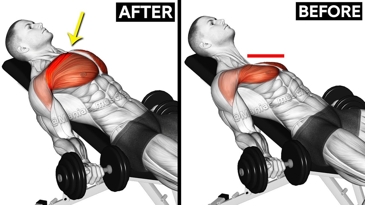 Top 10 Upper Chest Exercises With Dumbbells Infoupdate Org