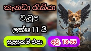 වැටුප ලක්ෂ 11 යි. සුදුසුකම් එපා. කැනඩාවේ පිරිසිදු කිරීමේ රැකියා cleaning kitchen foreign jobs canada