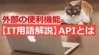 【IT用語解説】APIとは【外部の便利機能を使える便利なやつ】