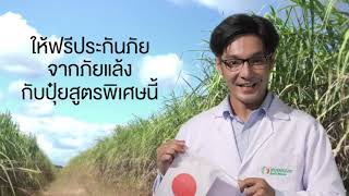 [Hi CRF] ปุ๋ยสูตรพิเศษ ซีอาร์เอฟ