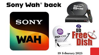 SONY WAH\